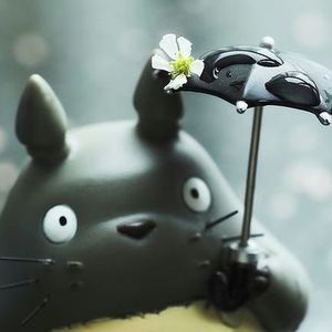 Meet your Posher, Yang